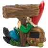 Accent Plus Solar Light-Up Welcome Garden Gnome and Turtle