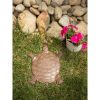 Accent Plus Cast Iron Turtle Stepping Stone