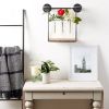 Accent Plus Industrial Look Wall-Shelf with Test Tube Vases