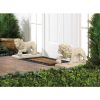 Accent Plus Regal Lion Garden Statue Set