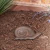 Accent Plus Cast Iron Snail Stepping Stone