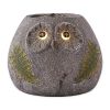 Accent Plus Resin Owl Garden Planter with Solar Light-Up Eyes