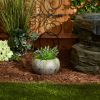 Accent Plus Rustic Natural-Look Garden Planter with Leaves - 4 inches