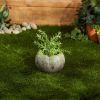 Accent Plus Natural-Look Garden Planter with Leaves - 3.75 inches