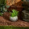 Accent Plus Natural-Look Garden Planter with Leaves - 3.75 inches