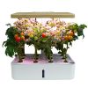 Hydroponics System Box Intelligent Full Spectrum Grow Light Mini Green Garden Plant Vegetable / Flower / Fruit