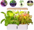 Hydroponics System Box Intelligent Full Spectrum Grow Light Mini Green Garden Plant Vegetable / Flower / Fruit