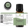 Eucalyptus Globulus Essential Oil 10 mL