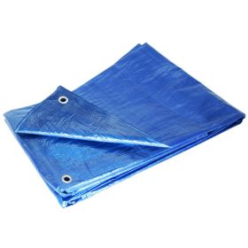 Blue 10 x 10 Tarp