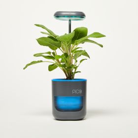 Pico Planter Indoor Garden with Plant Grow Light. This Herb Growing Kit is the Perfect Self Watering Planter. An Indoor Garden for Your Home and Offic (Color: Stone Blue)