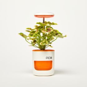 Pico Planter Indoor Garden with Plant Grow Light. This Herb Growing Kit is the Perfect Self Watering Planter. An Indoor Garden for Your Home and Offic (Color: Coral White)