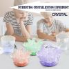 Children's Hot Selling Crystal Planting Science Experiment Toys